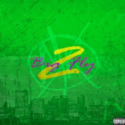 Big Fly 2