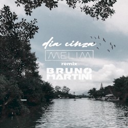 Dia Cinza (Bruno Martini Remix)