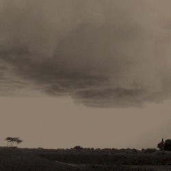 Stormgarden