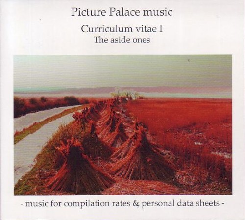 Curriculum Vitae I (The Aside Ones - Music For Compilation Rates And Personal Data Sheets)