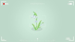 Snowdrop