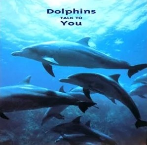 Dolphins TALK TO You