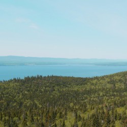 Boreal