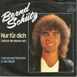 Nur für dich (reiß ich die Mauern ein)