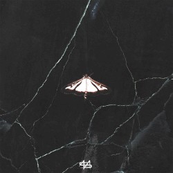 Luminous Butterfly