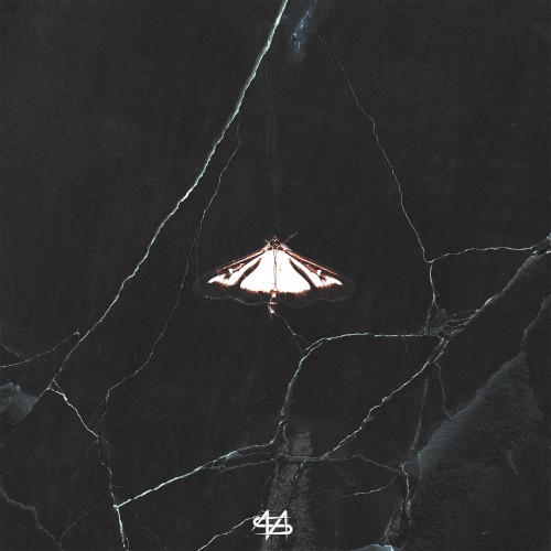 Luminous Butterfly