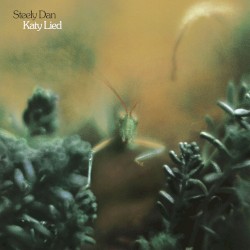 Katy Lied