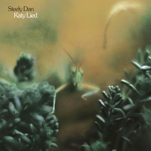 Katy Lied