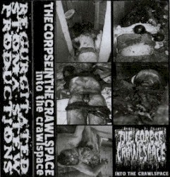 Into The Crawlspace