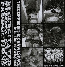 Into The Crawlspace