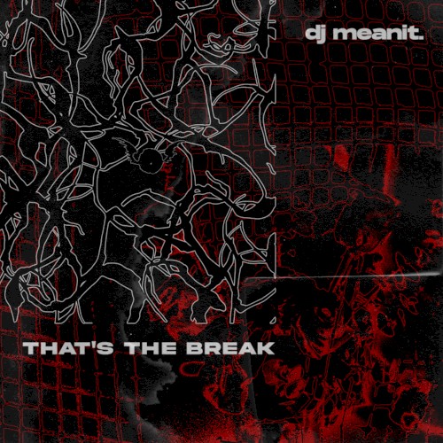 THAT’S THE BREAK