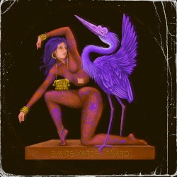 Pájaro