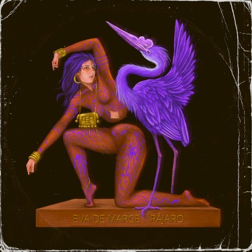 Pájaro