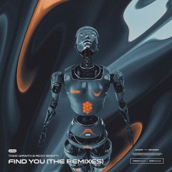 Find You (The Remixes)