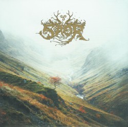 Roots / Aura