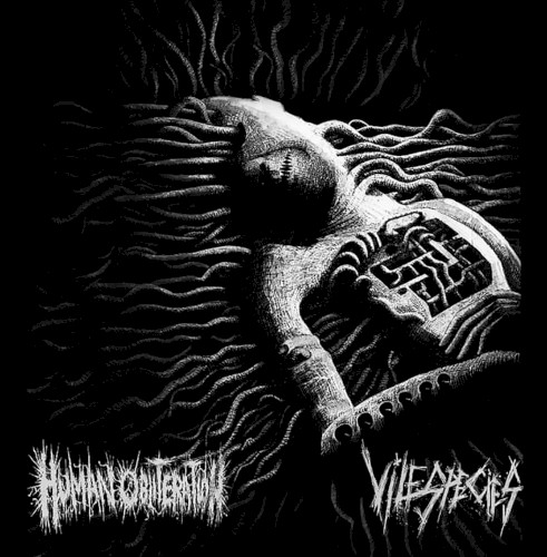 Human Obliteration/Vile Species Split