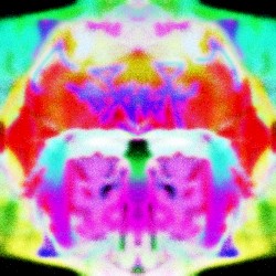 12.21.22 "Self Titled" 12:06am