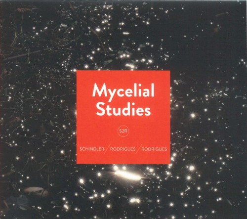 Mycelial Studies