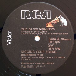 Digging Your Scene
