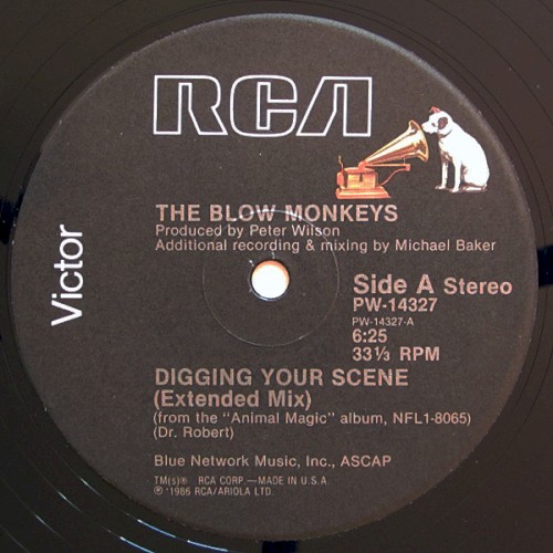 Digging Your Scene