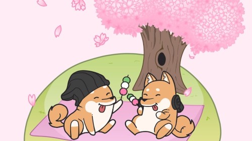Cherry Blossoms