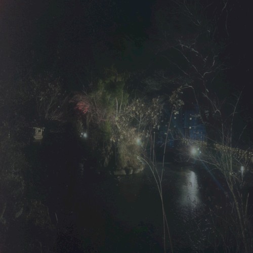 Dim Light