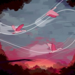 Migration