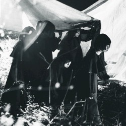 またね、おやすみ