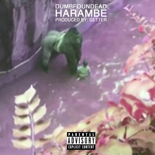 Harambe