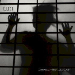 Disoriented Illusion