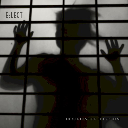 Disoriented Illusion