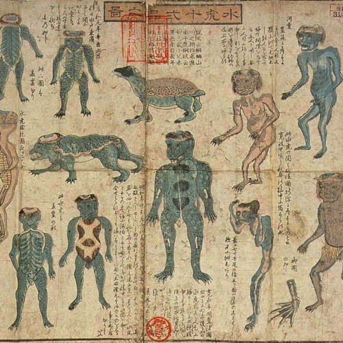 Green Kappa Phylogeny