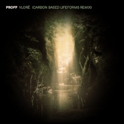 Vlorë (Carbon Based Lifeforms remix)