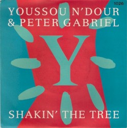Shakin’ the Tree