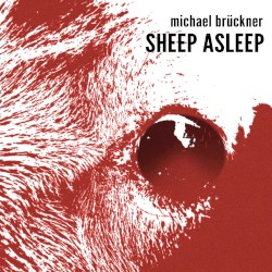Sheep Asleep