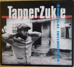 Musical Intimidator: Anthology 1974-82