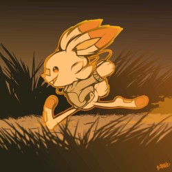 Scorbunny 01