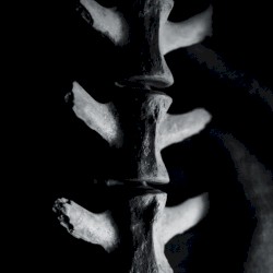 MMXIII