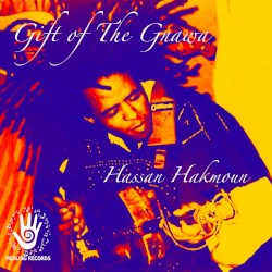 Gift of the Gnawa