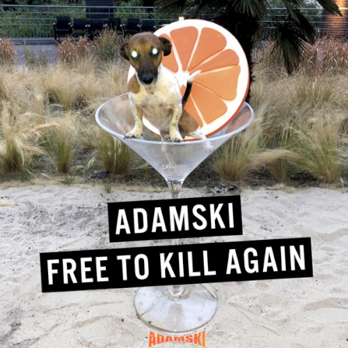 Free to Kill Again