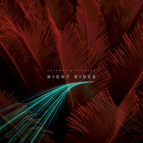 Night Rider