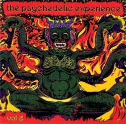 The Psychedelic Experience Vol 2
