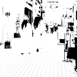 B/W
