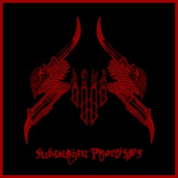Sumerian Promises