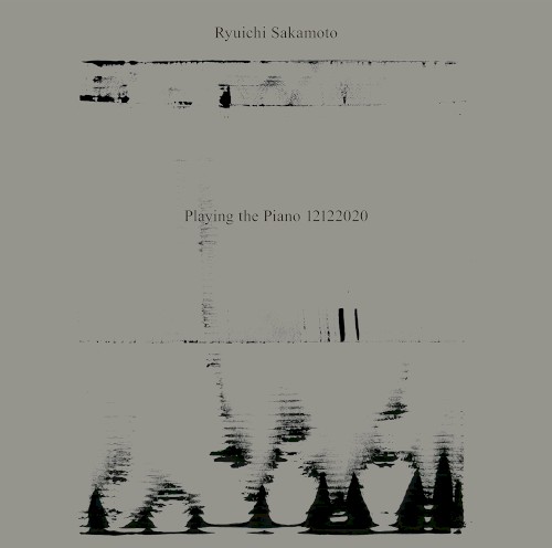 Playing The Piano 12122020