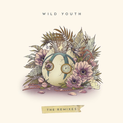 Wild Youth (The Remixes)