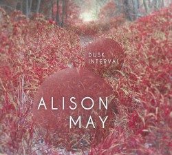 Dusk Interval