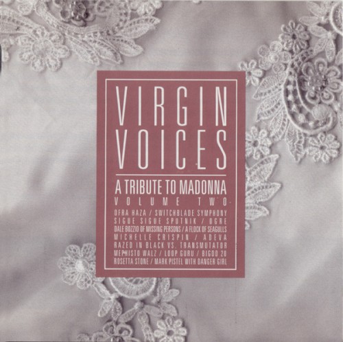 Virgin Voices: A Tribute to Madonna, Volume Two