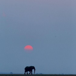National Geographic