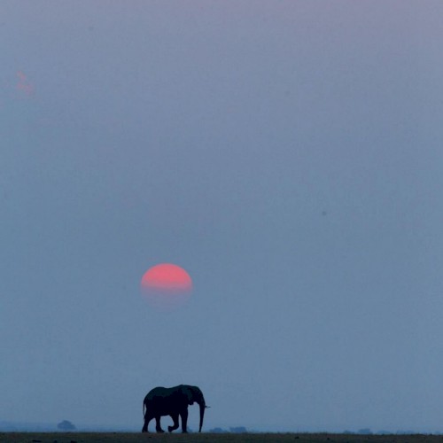 National Geographic